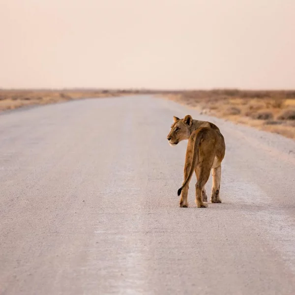Rundreise Namibia