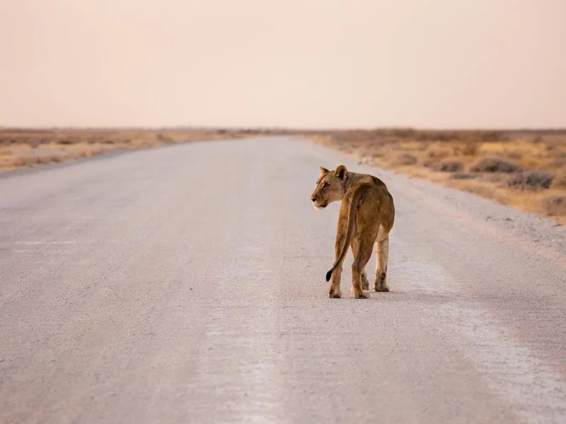 Rundreise Namibia
