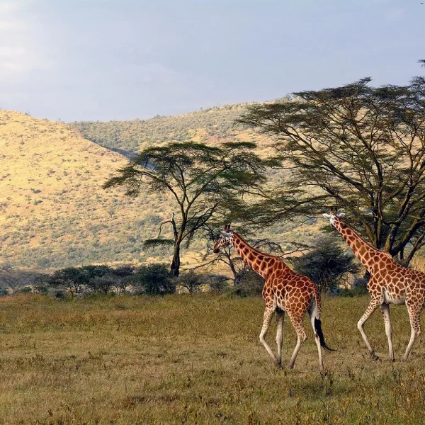 Rundreise Namibia