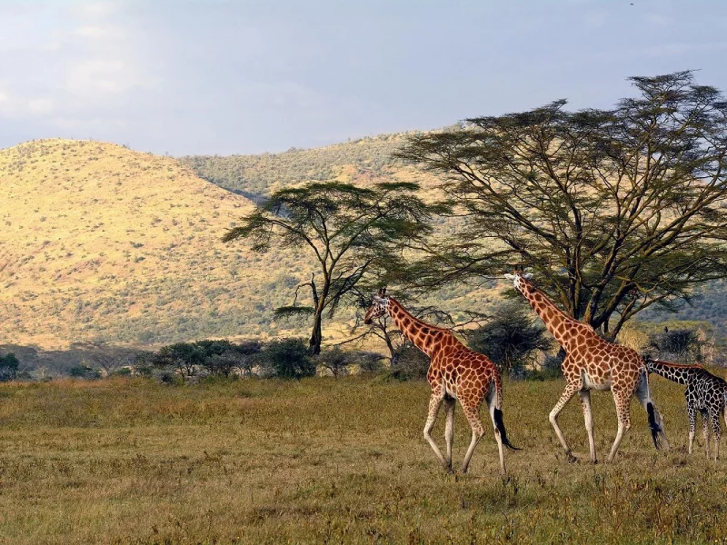 Rundreise Namibia