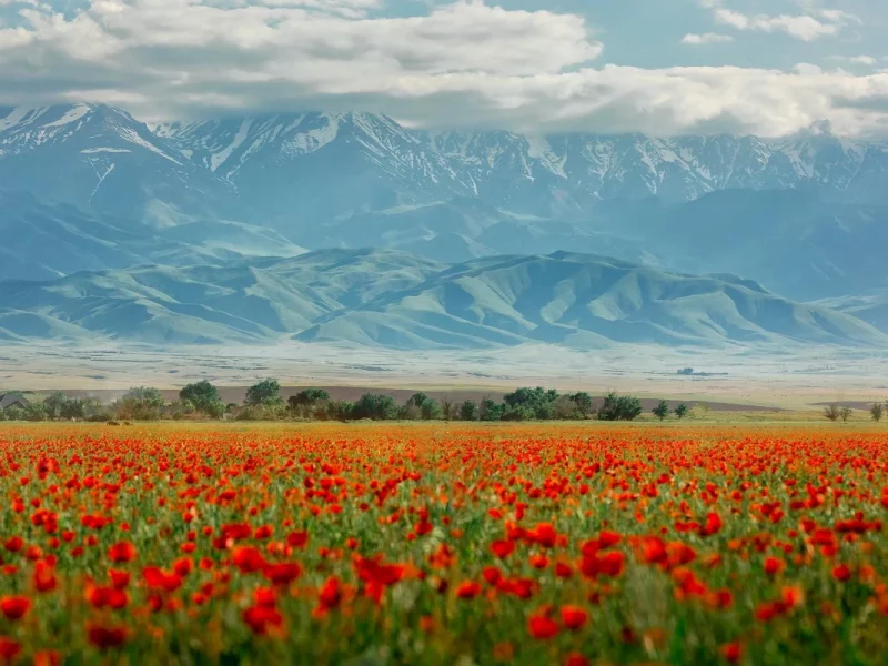 Kasachstan Entdeckungsreise ins Land der modernen Nomaden